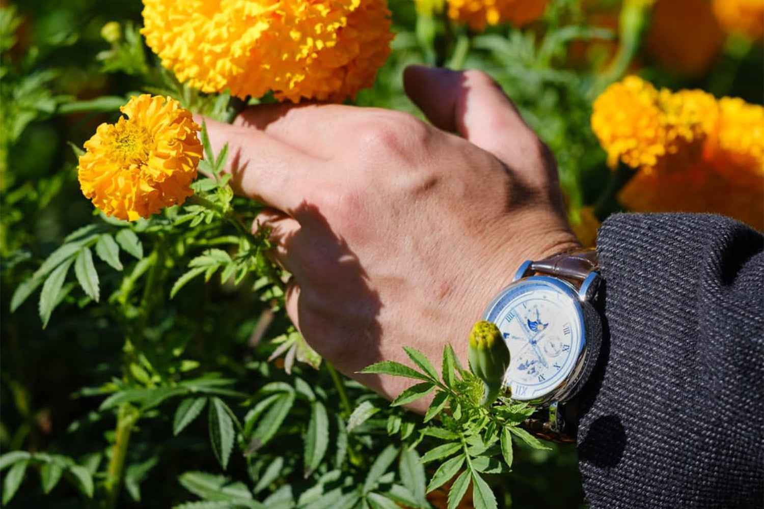 Pourquoi acheter une montre automatique ?